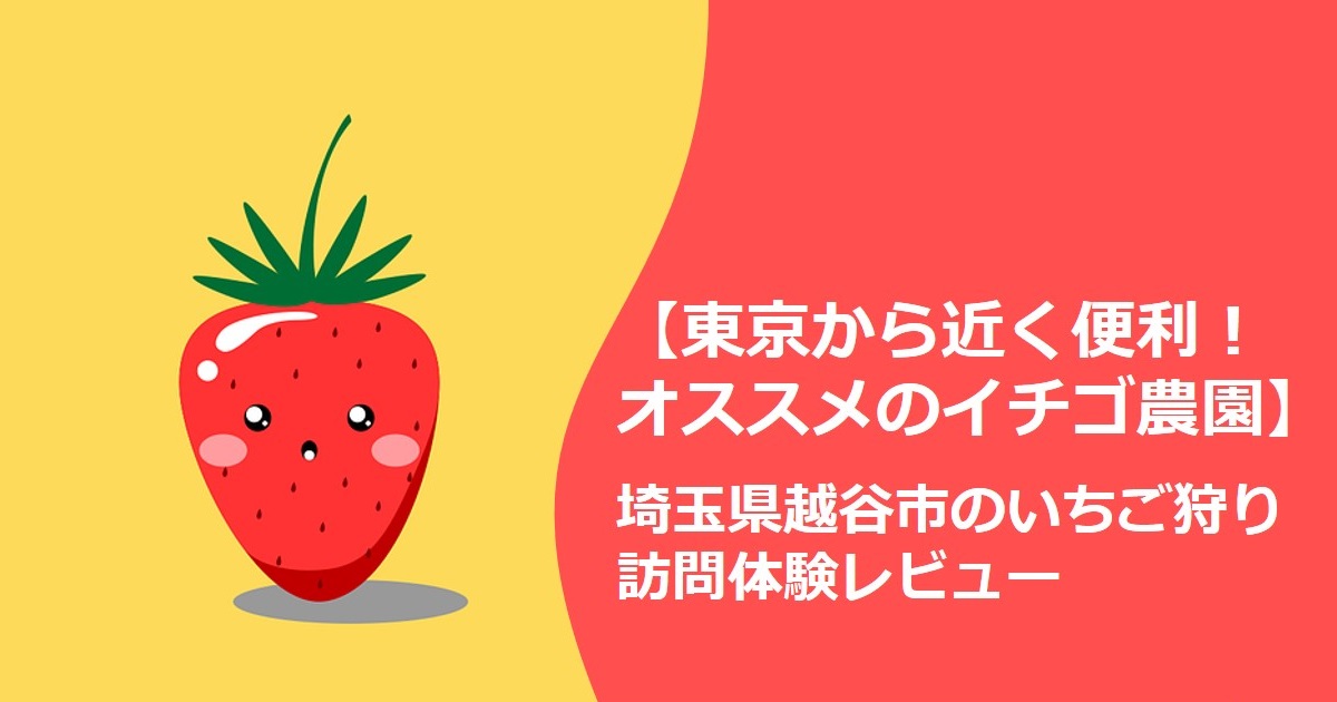 東京から近く簡単に行けるオススメのイチゴ狩り農園 埼玉県越谷市のいちご狩り訪問体験レビュー